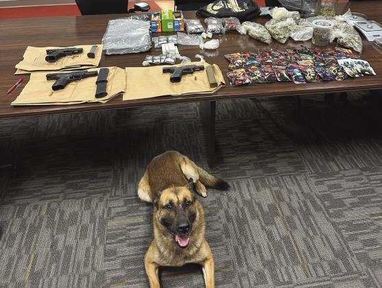 SBSO K-9 Pit Helps Uncover Narcotics During Traffic Stop