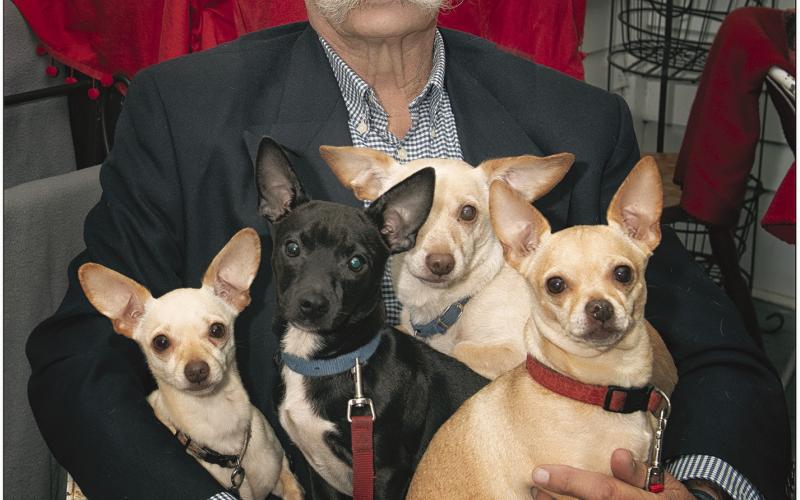 Jimmy Delery and his family of loving and loyal four-legged friends Sir Runty, Hider, Diamond, and Miss Nippy.