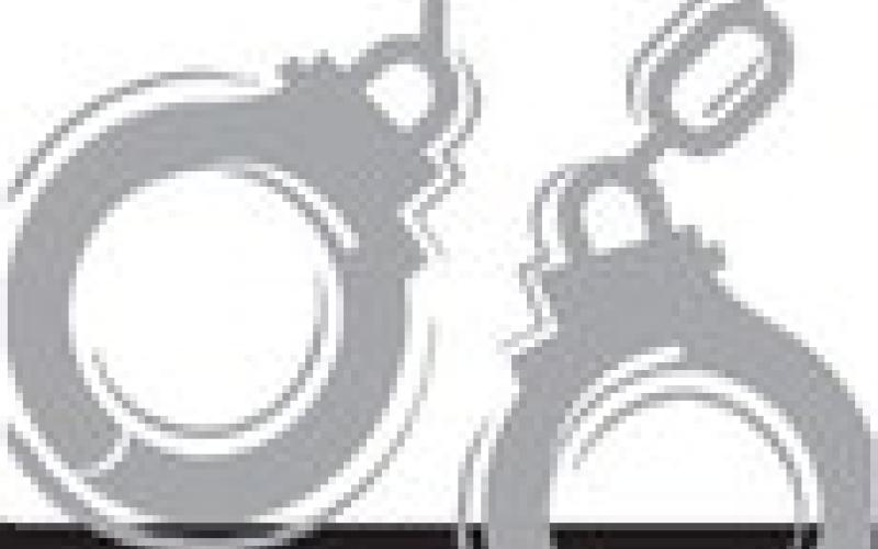Alt Text for Image