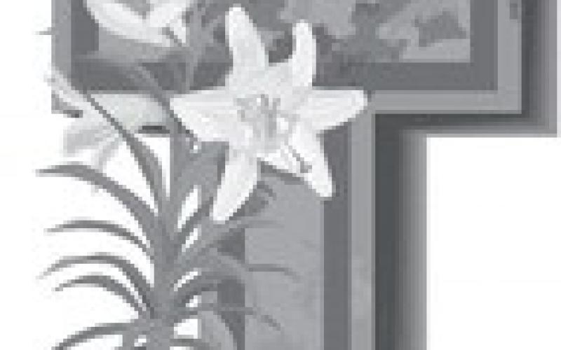 Alt Text for Image