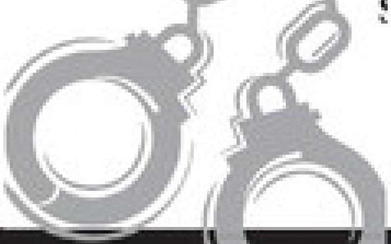 Alt Text for Image