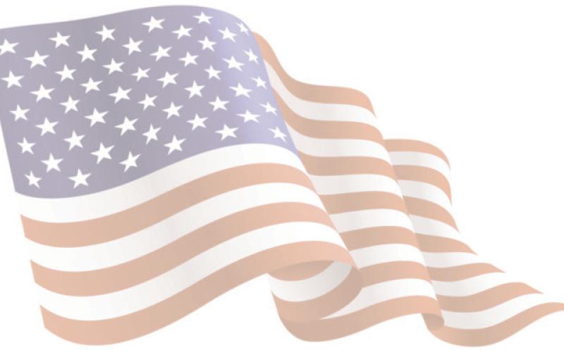 Alt Text for Image