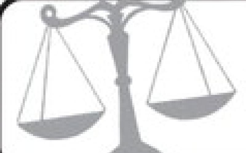 Alt Text for Image