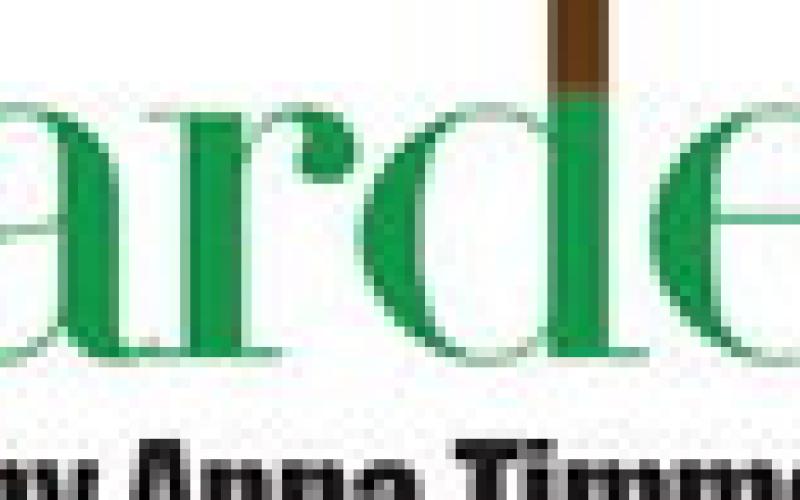 Alt Text for Image