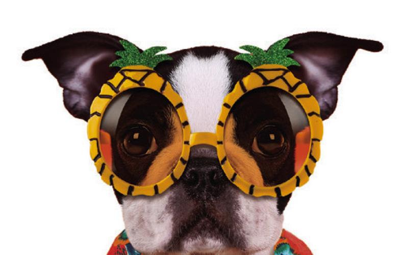 Knights of Nemesis 19th Annual Jack Bennett Memorial Luau Dance Set for August 17