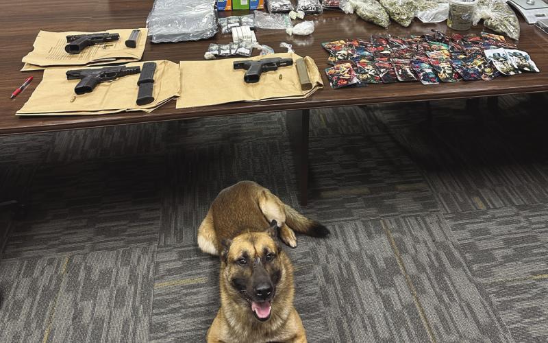 SBSO K-9 Pit Helps Uncover Narcotics During Traffic Stop
