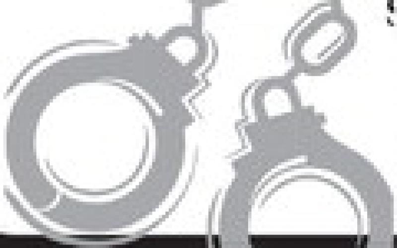 Alt Text for Image
