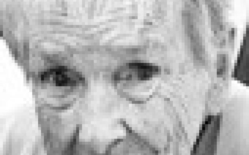 Alt Text for Image