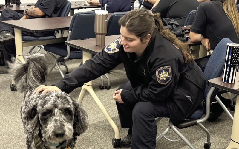 St. Bernard Sheriff James Pohlmann said the Sheriff’s Office on a regular basis offers various types of training to provide officers with the resources and support needed for their well-being. Part of today’s training included interaction with Gram, a three-year-old Border Collie and Poodle mix, who is a trained therapy dog with Integrative Warrior Assistance, a non-profit organization that provides mental health and wellness referral resources for first responders and their families.