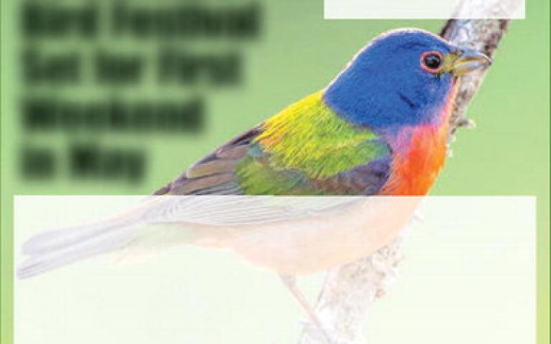 The schedule of events for the 2023 Bird Festival can be found at www.sbpg.net.