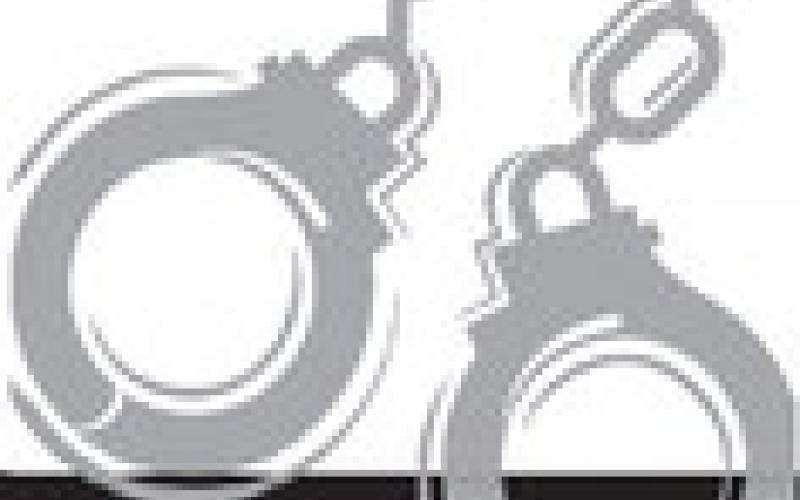 Alt Text for Image