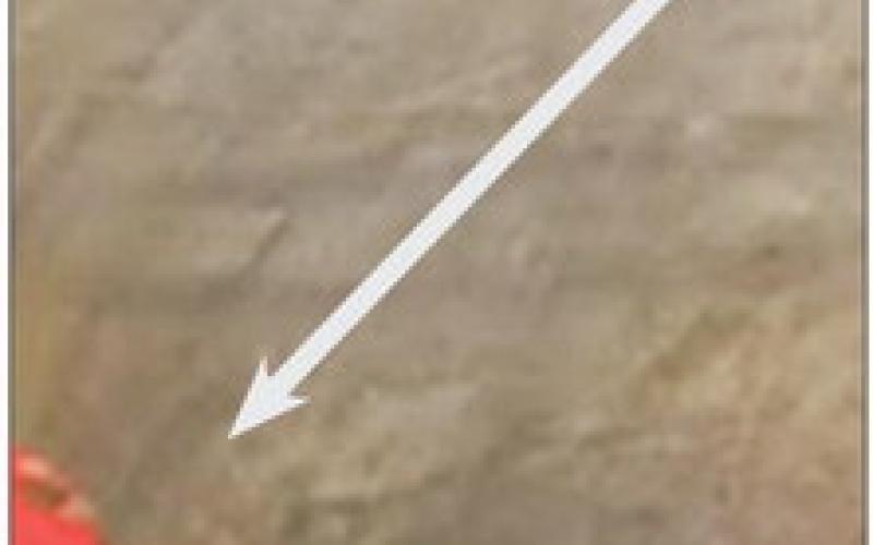 Missing 13-year-old Last Seen on Camera