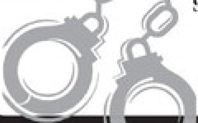 Alt Text for Image