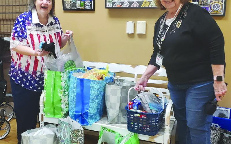 On Saturday, August 23, 2025 at Pakenham AARP 3926 monthly meeting, members participated in the donations to the Homeless Veterans Stand Down program to be held at the New Orleans VA Hospital. Shown in the picture is Leona Galley, President and Sandra Reuther, VFW Auxiliary 5153 member and VFW Auxiliary Deputy to the V.A.