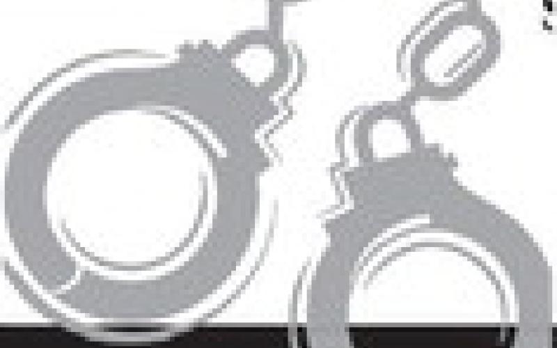 Alt Text for Image