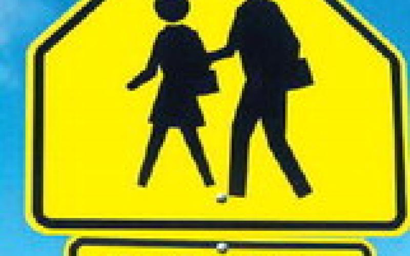 Alt Text for Image