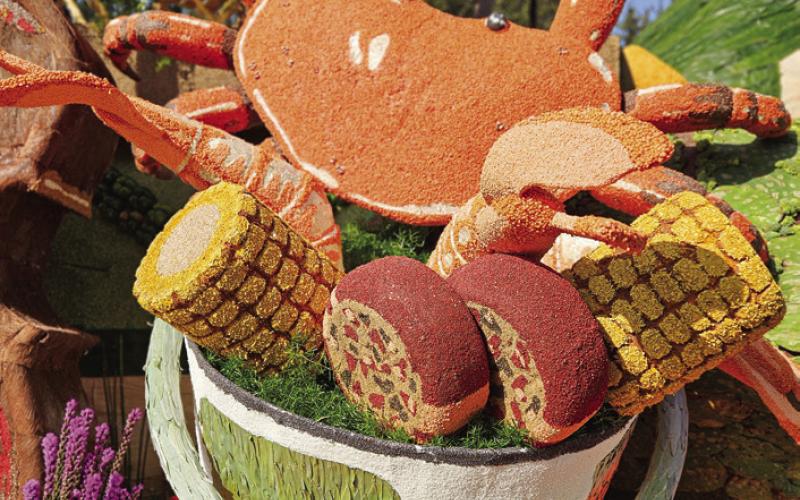 Celebration Gator Delights at Rose Parade