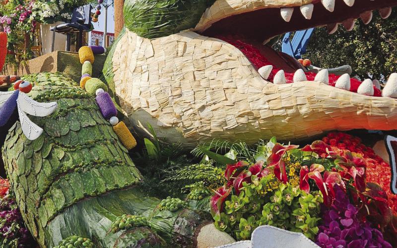 Celebration Gator Delights at Rose Parade