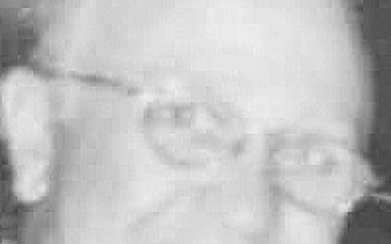 Alt Text for Image