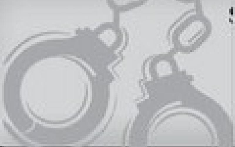 Alt Text for Image
