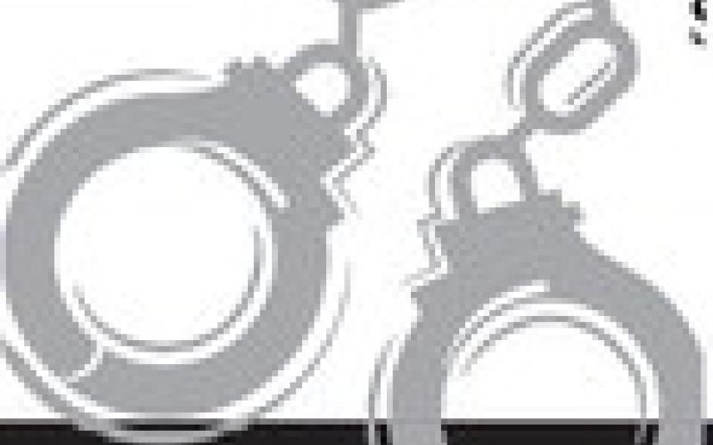 Alt Text for Image