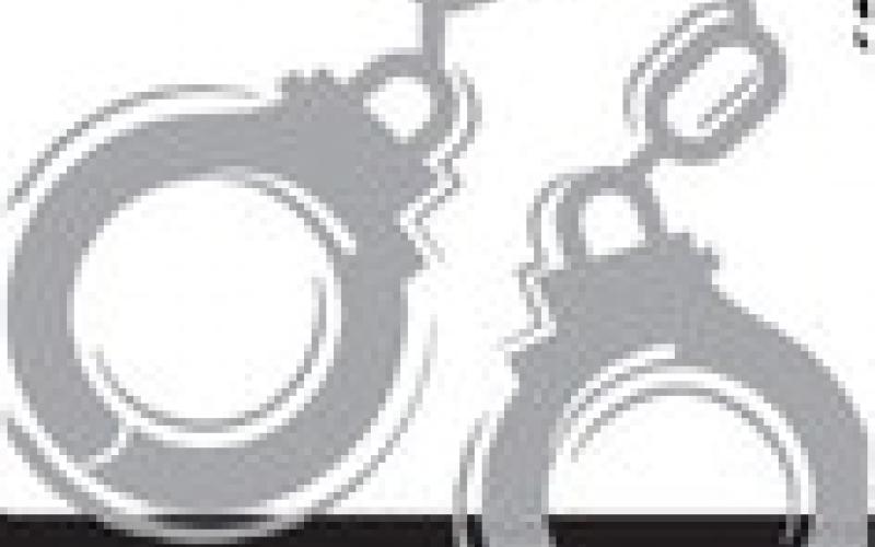 Alt Text for Image