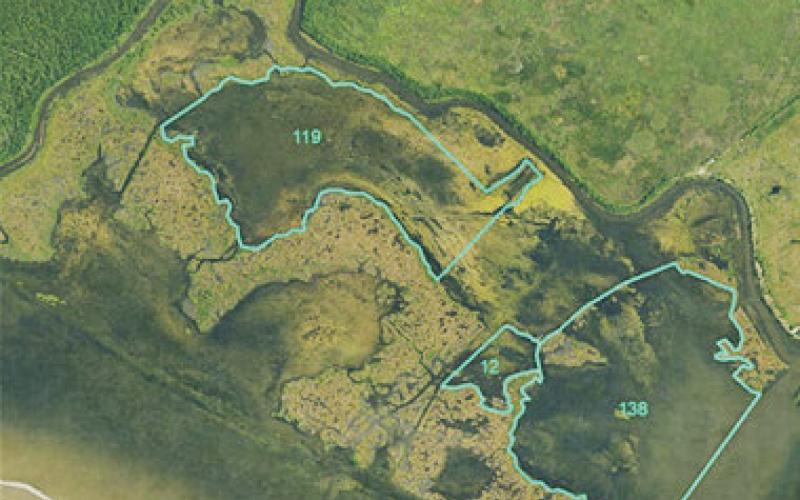 St. Bernard Parish's Reggio West Marsh Creation and Hydrologic Restoration, Central Wetlands Marsh Creation and Biloxi Marsh Shoreline Protection Projects.