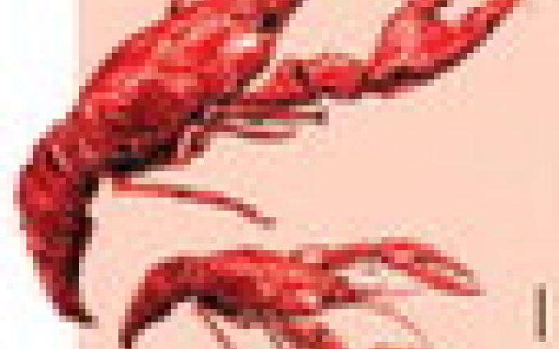 Alt Text for Image