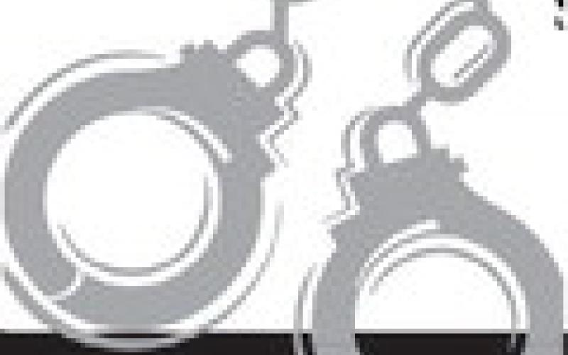 Alt Text for Image