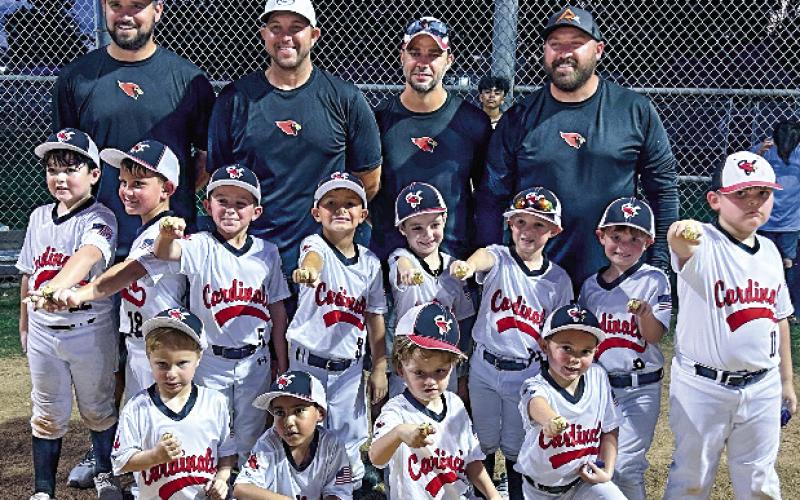 Versailles Cardinals 5/6 named Baseball Champions