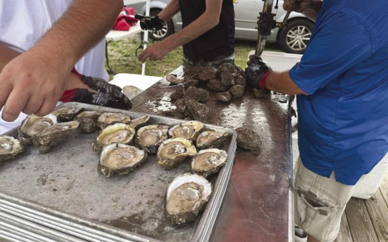 St. Bernard Parish Hosts Delacroix Seafood Market