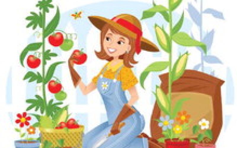 in the garden