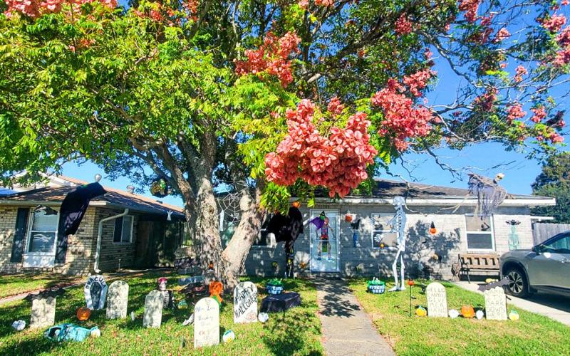 Spooky Homes of St. Bernard