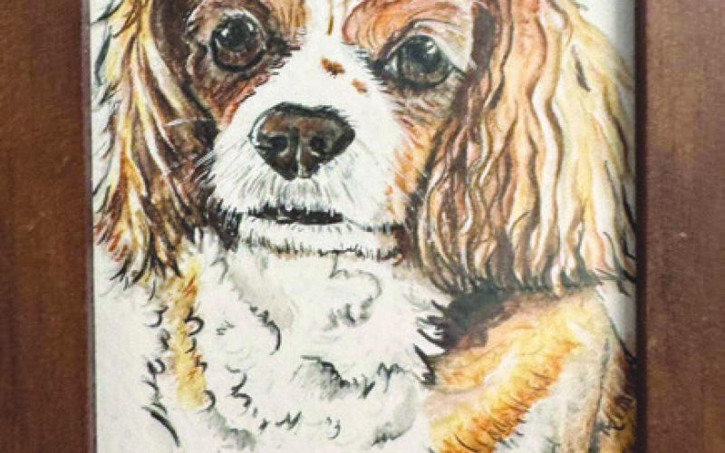 Robin Austin creates and shares her beautiful artwork as a powerful act of empathy and kindness.