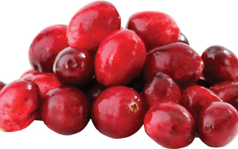 Cranberry Sauce