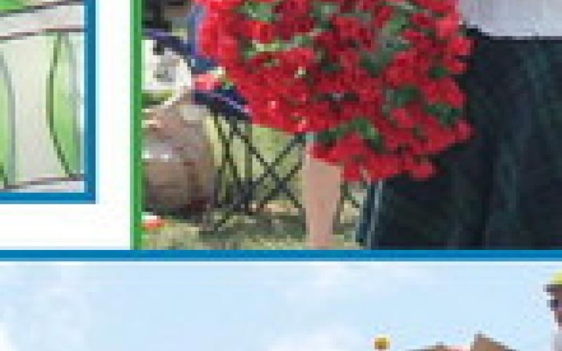 Alt Text for Image