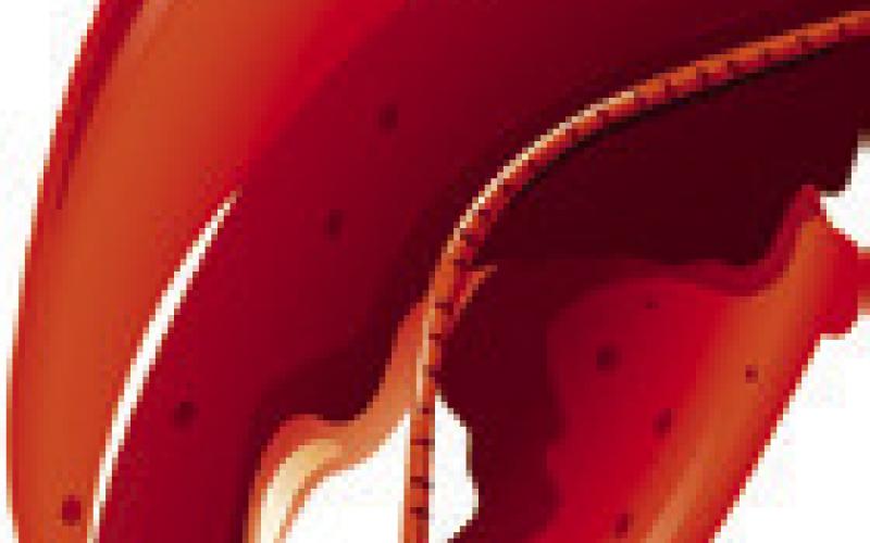 Alt Text for Image