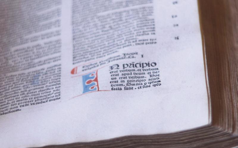 Alt Text for Image