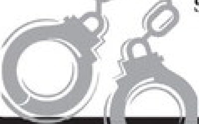 Alt Text for Image