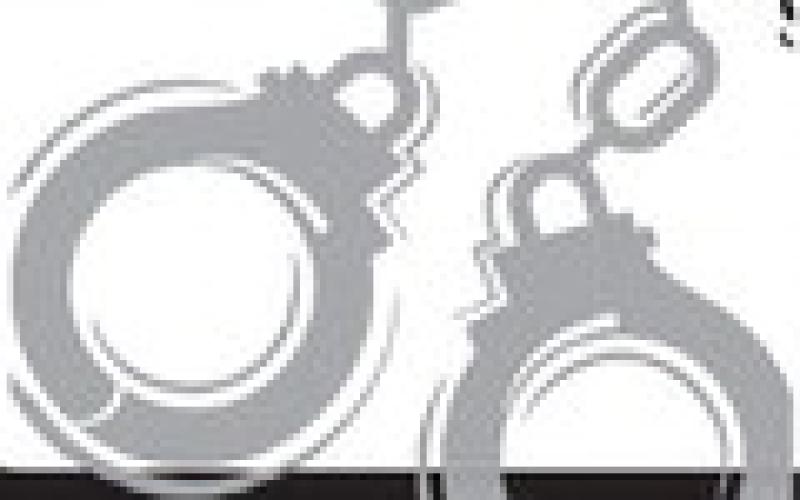 Alt Text for Image