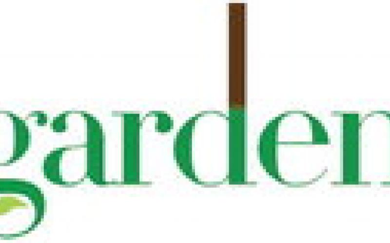Alt Text for Image