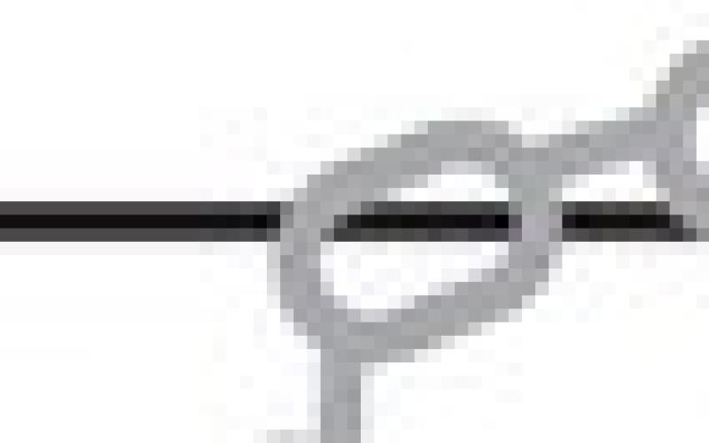 Alt Text for Image