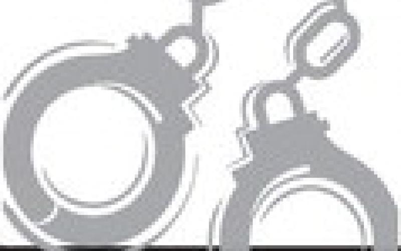 Alt Text for Image