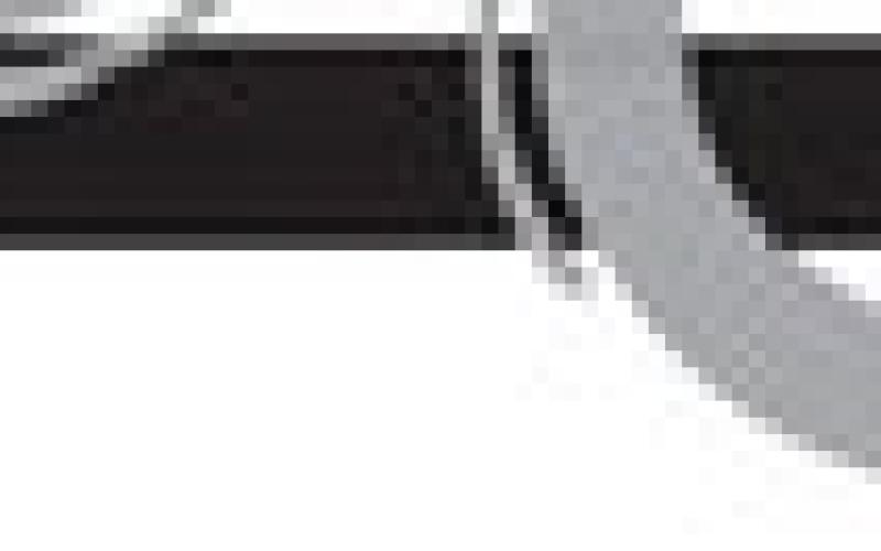 Alt Text for Image