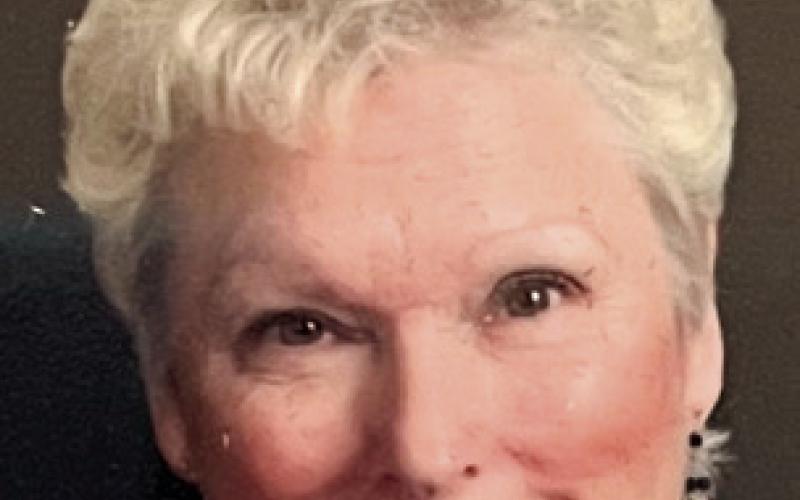 Lyn Theresa Blappert Adams