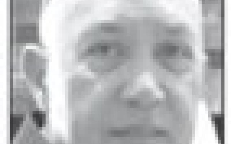 Alt Text for Image