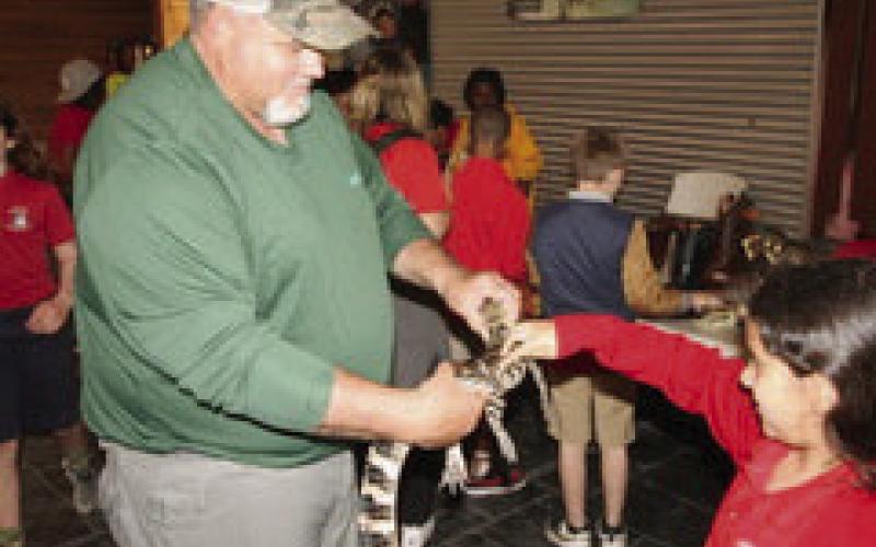 Nothing is better than hands on biology even if it is petting a baby alligator.