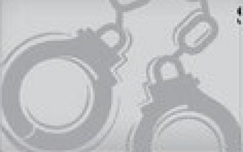 Alt Text for Image
