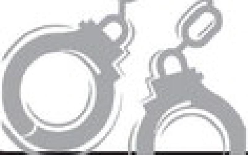 Alt Text for Image