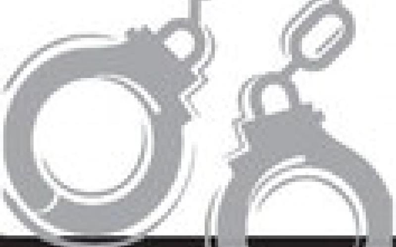 Alt Text for Image